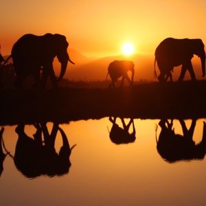 Meet your Posher, Cathy